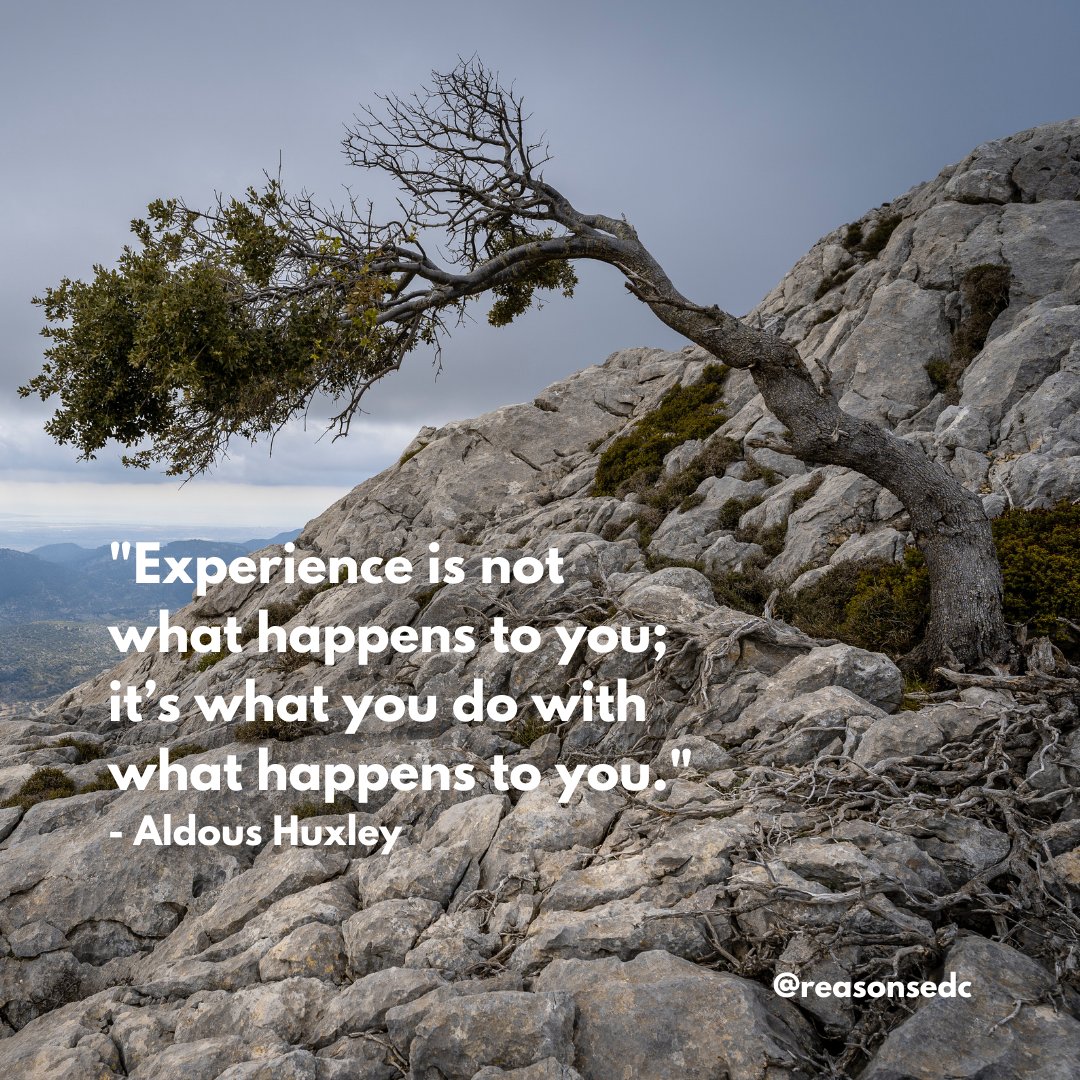 ReasonsEDC's tweet photo. Each moment presents an opportunity for you to learn and grow https://t.co/xnItnCIHev