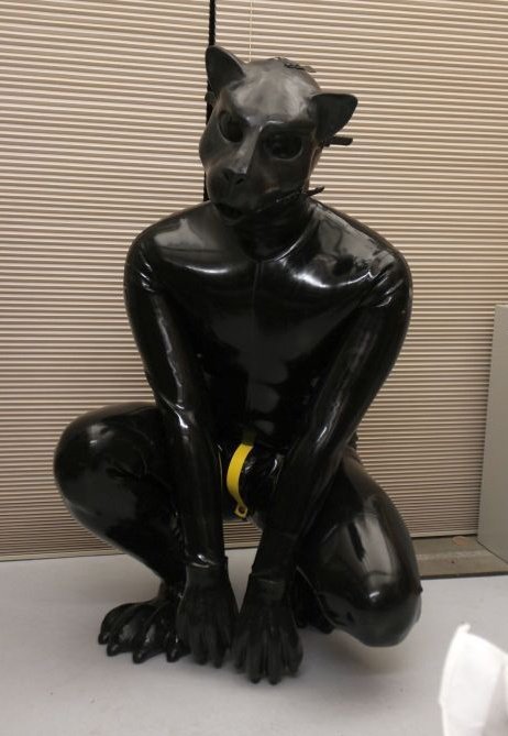 Squeaky Tiger Thing tweet media