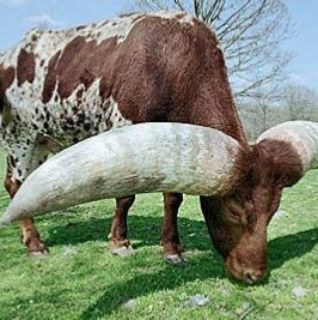 1995VSL's tweet image. 