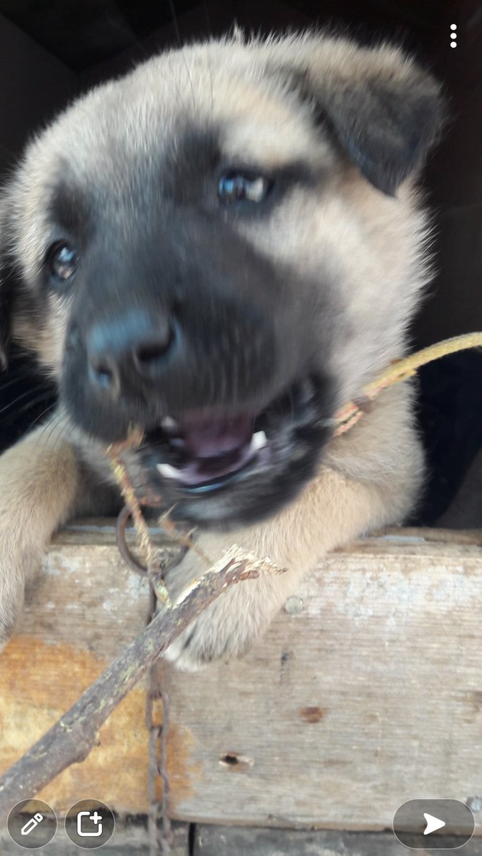 Bi şeyi çok sevince benim galeri