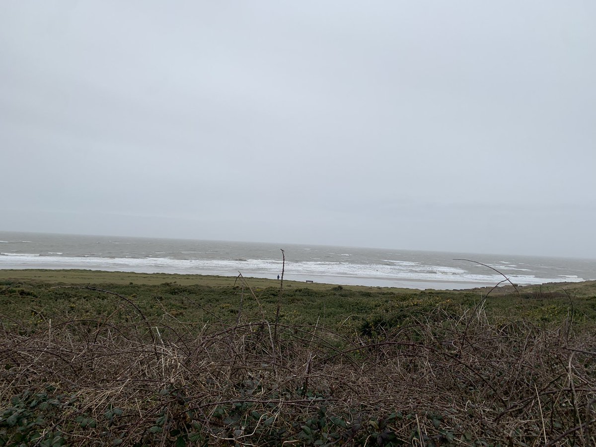 ADigitalWitch's tweet photo. #NHS1000miles #ukrunchat #NHSactive
38.74 miles for me this week and so happy that ran 12 of them. Itβs nothing like the mileage I was running but itβs a start back. Just to keep it going. My aim for February is to up this again. 160.72 total miles for January. https://t.co/eA5ZRNXTwk