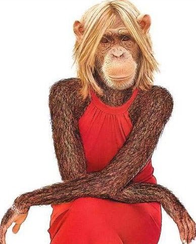 Девушка мартышка. Накрашенная обезьяна. Обезьяна для детей. Обезьяна девочка. Шимпанзе девочка.