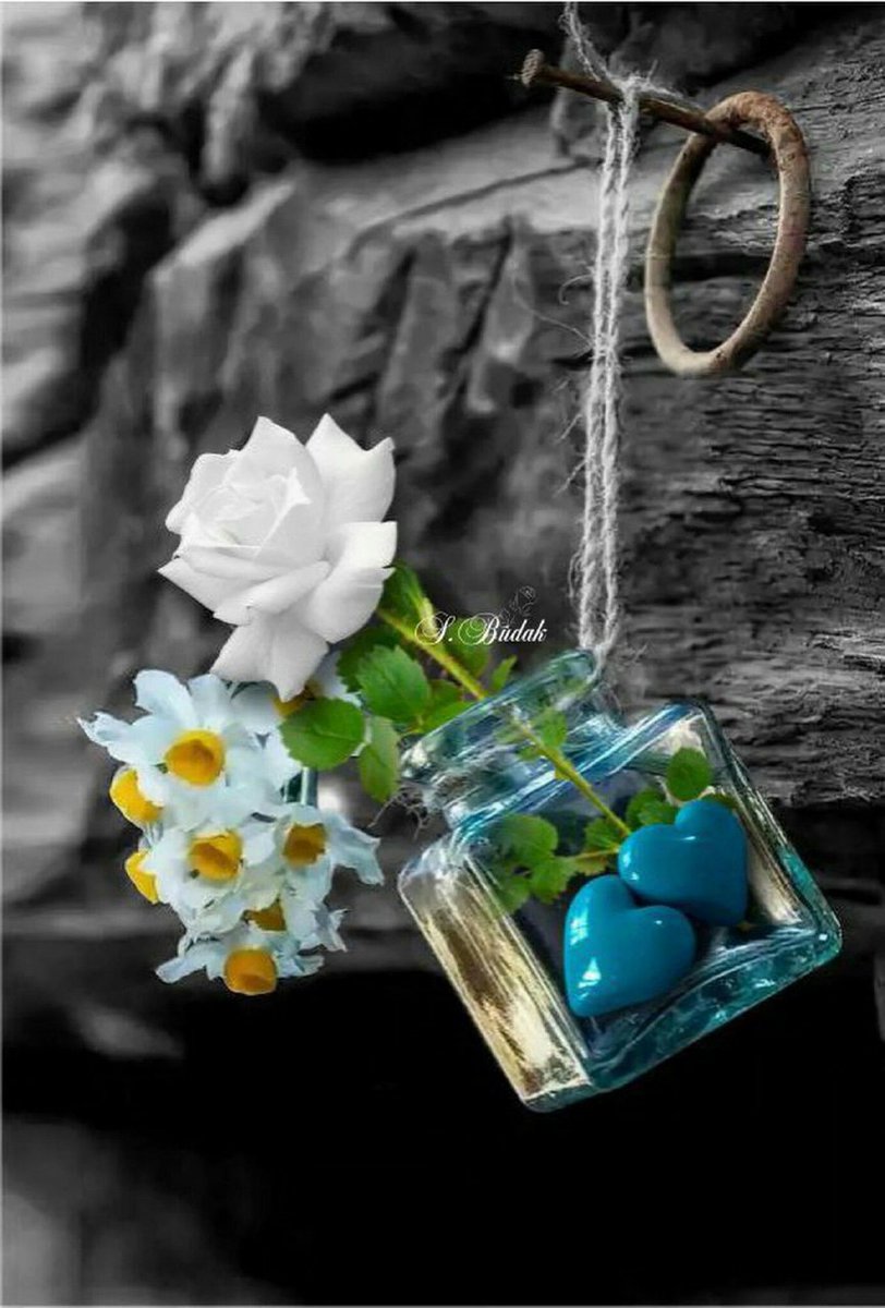 Amanda_Dehghan's tweet image. The most and the best beautiful things in the world cannot be seen or even touched ...
They must be felt with the heart ❤️ 
#GoodNightTwitterWorld
#lesson5