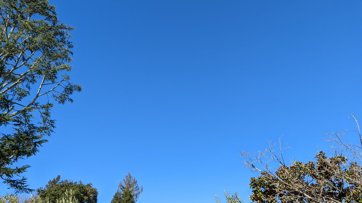 Chris Anderson tweet media