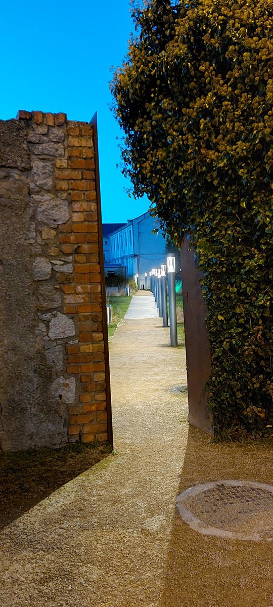 James Molloy (@jpjmolloy) on Twitter photo Monthly challenge <a href="/UCD_SPC/">UCD Staff Photography Club</a> #liminalspace some photos taken this evening at <a href="/myIADT/">IADT Dún Laoghaire</a> #dunlaoghaire <a href="/IADTlibrary/">IADT Library</a> <a href="/IADTSU/">IADT Students' Union</a> <a href="/BAPhotoIADT/">BA (Hons)Photography</a> #photography #photochallenge Monthly challenge <a href="/UCD_SPC/">UCD Staff Photography Club</a> #liminalspace some photos taken this evening at <a href="/myIADT/">IADT Dún Laoghaire</a> #dunlaoghaire <a href="/IADTlibrary/">IADT Library</a> <a href="/IADTSU/">IADT Students' Union</a> <a href="/BAPhotoIADT/">BA (Hons)Photography</a> #photography #photochallenge