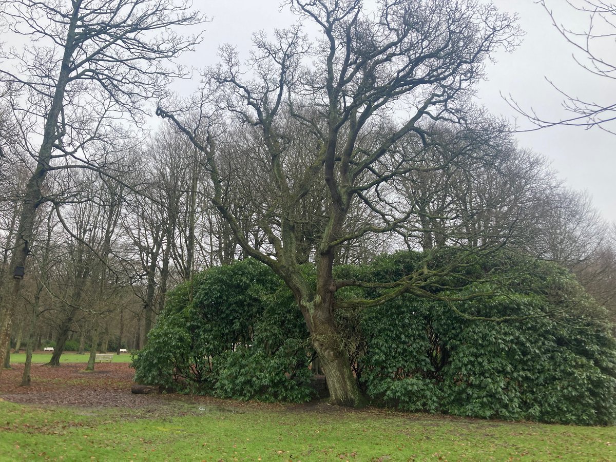 HSchmeets's tweet photo. Samen genoten van een heerlijke wandeling door schitterend landgoed #Ockenburg! Een van mijn favoriete plekken in Den Haag. ๐ https://t.co/B74wAisoir