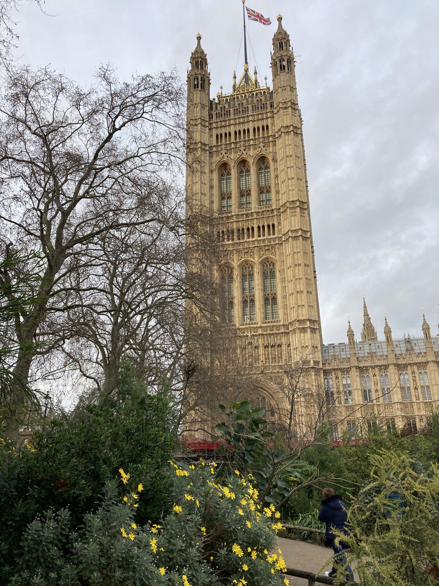 Victoria Tower of the #PalaceofWestminster as seen from #VictoriaTowerGardens ⁦@ThorneyIslandSo⁩ ⁦@theroyalparks⁩ ⁦@LDNGardensTrust⁩