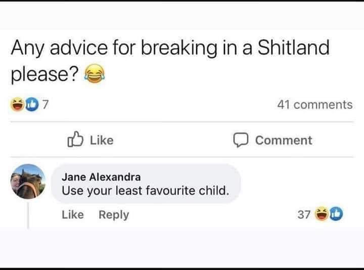 Kati Jett (@damncanchaser) on Twitter photo 