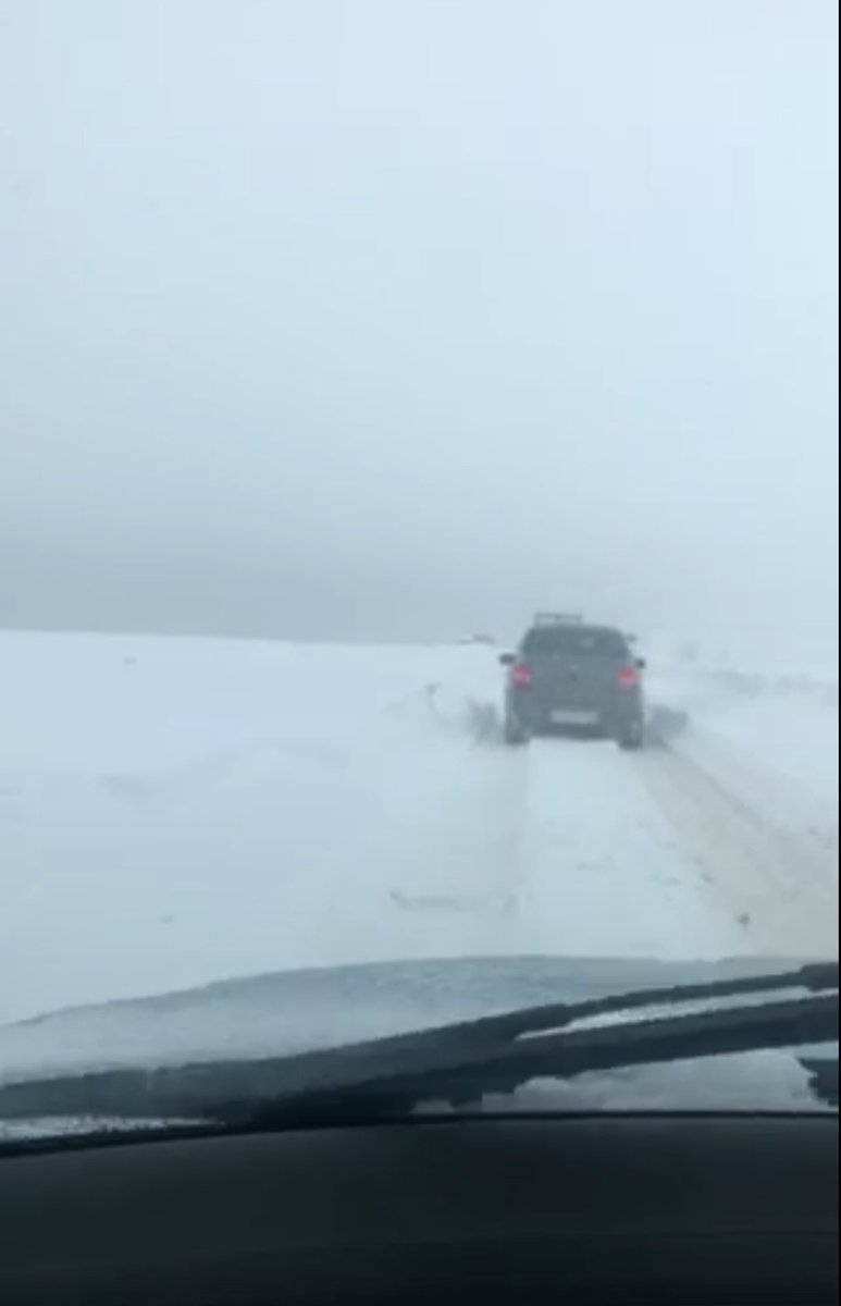 Владислав Соколов tweet media