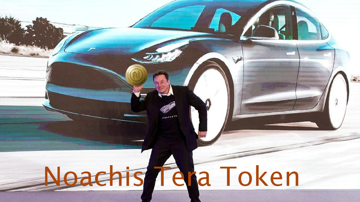 Noachis Terra tweet media