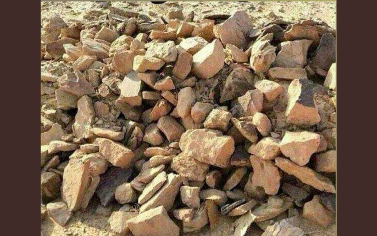 أين الأرنب ❓❓