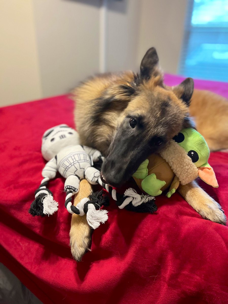 Dr. Kathleen E. Padilla tweet media