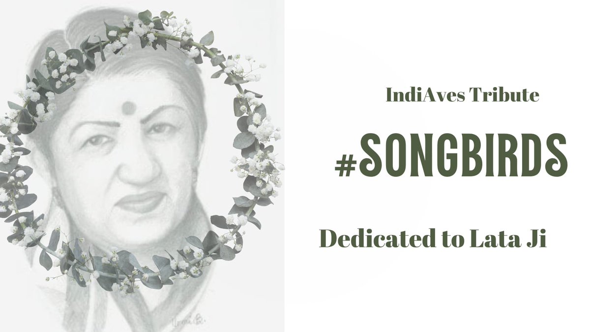 Lata Mangeshkar, whose melodious voice has no parallel, a playback singer par excellence, has left for her heavenly abode. RIP 🙏 
Let us pay tribute to her by posting birds that are called songbirds. Tag #SongBirds and #IndiAves