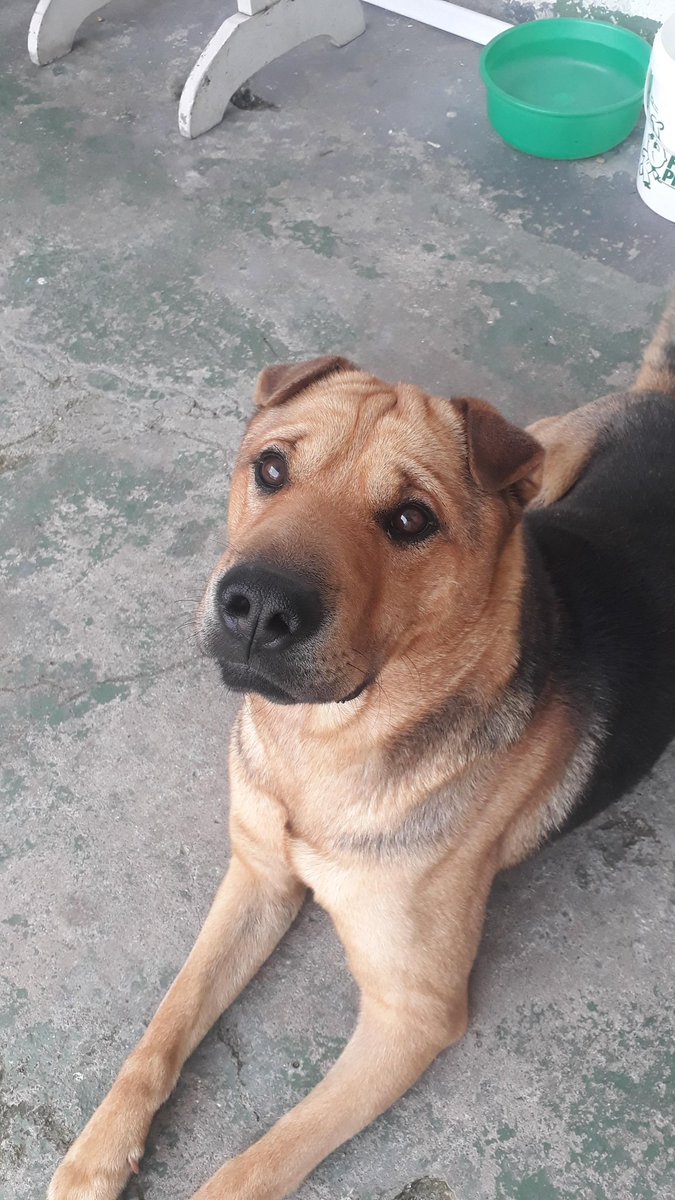 7 anos de azar pra quem não falar "oii" pro teddy