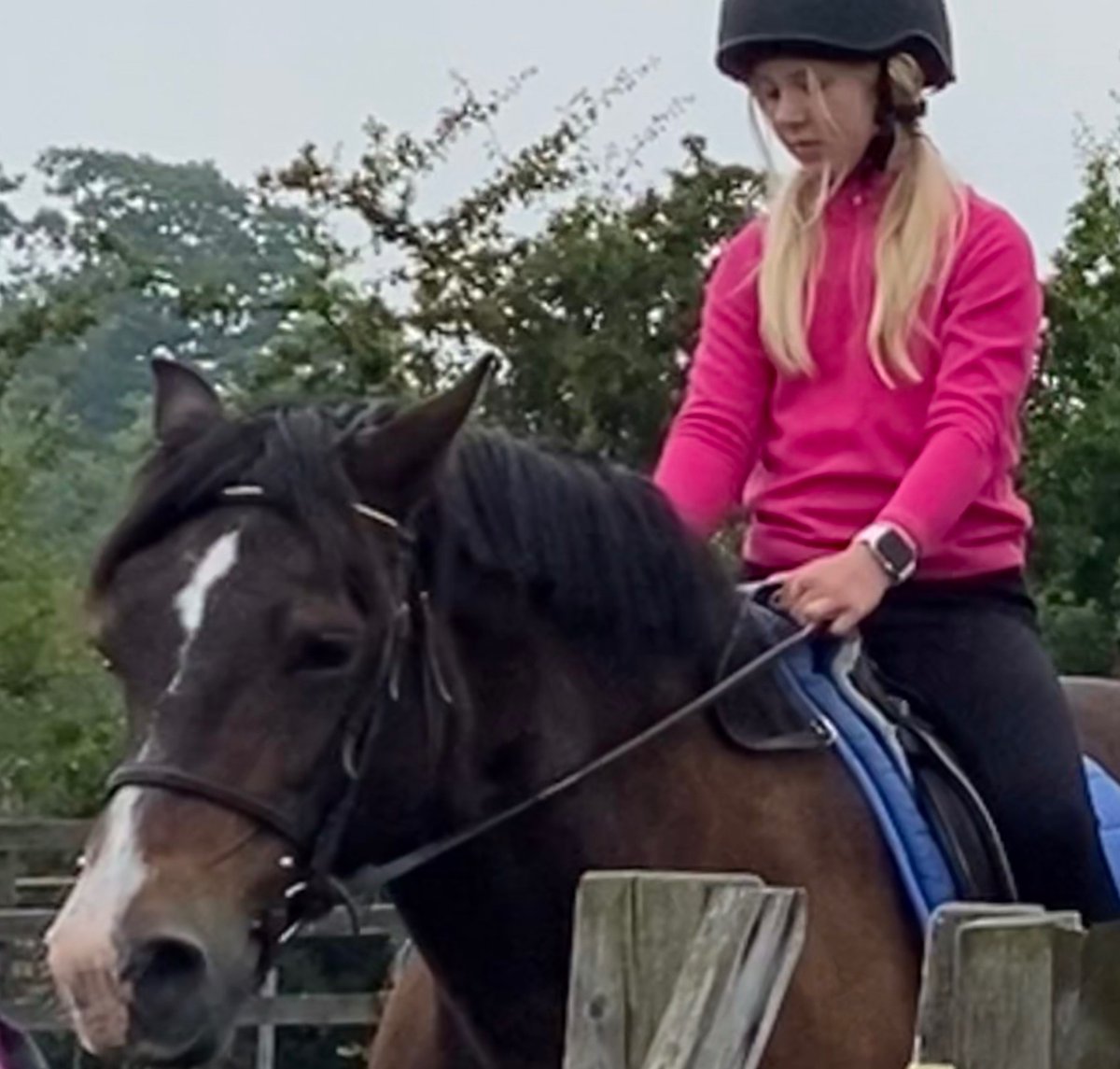 Marlea210910's tweet photo. Ok, so twilight wasn’t in the best of moods today and I look fed up in this picture! This is what happens every time I try to take a good picture of twilight 😭😂 https://t.co/Ypj6FCzJWK