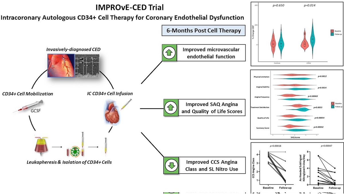 Michel T. Corban, MD (@michel_corbanmd) on Twitter photo 🔥 off the press <a href="/CircRes/">Circulation Research</a>
IMPROvE-CED Trial 📃
Just in time for ♥️ Month <a href="/American_Heart/">American Heart Association</a> <a href="/HeartNews/">American Heart News</a>
🧵 📃 & promising cell tx for #CMD
<a href="/InocaInternati1/">INOCA INTERNATIONAL</a> <a href="/heart_spasms/">International Heart Spasms Alliance</a>
<a href="/MdTakumi/">Takumi Toya, MD</a> <a href="/itsaHeartLife/">It’s A HeartLife</a>
<a href="/WomenHeartOrg/">WomenHeart</a> <a href="/HeartSisters/">Carolyn Thomas ☮️</a> <a href="/GoRedForWomen/">GoRedforWomen</a> <a href="/Heartspasms1/">spasmlife</a>
ahajournals.org/doi/10.1161/CI… 🔥 off the press <a href="/CircRes/">Circulation Research</a>
IMPROvE-CED Trial 📃
Just in time for ♥️ Month <a href="/American_Heart/">American Heart Association</a> <a href="/HeartNews/">American Heart News</a>
🧵 📃 & promising cell tx for #CMD
<a href="/InocaInternati1/">INOCA INTERNATIONAL</a> <a href="/heart_spasms/">International Heart Spasms Alliance</a>
<a href="/MdTakumi/">Takumi Toya, MD</a> <a href="/itsaHeartLife/">It’s A HeartLife</a>
<a href="/WomenHeartOrg/">WomenHeart</a> <a href="/HeartSisters/">Carolyn Thomas ☮️</a> <a href="/GoRedForWomen/">GoRedforWomen</a> <a href="/Heartspasms1/">spasmlife</a>
ahajournals.org/doi/10.1161/CI…