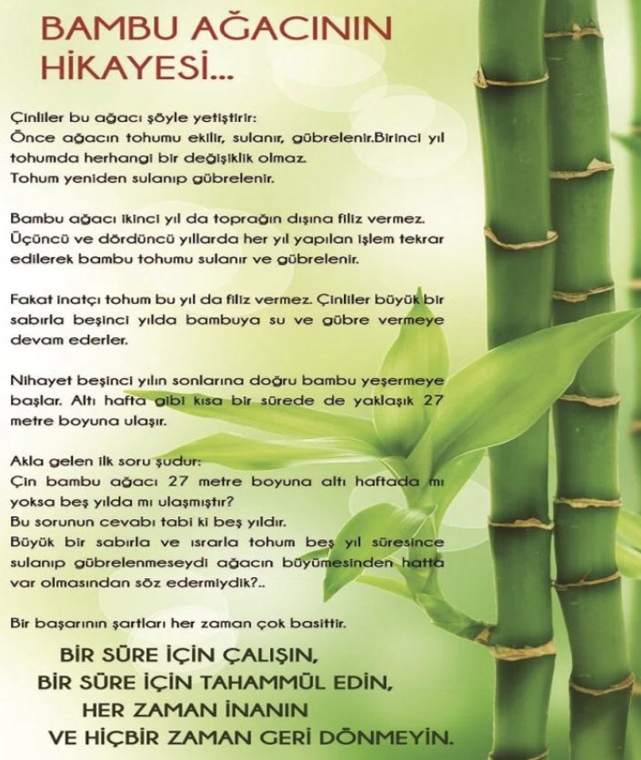 Herkesi temettü yatırımcısı olmasına davet ediyorum kesinlikle yatırım tavsiyesi değildir temettü için Aksa akrilik büyüme ve temettü için Ford Otosan sadece büyüme için Kordsa