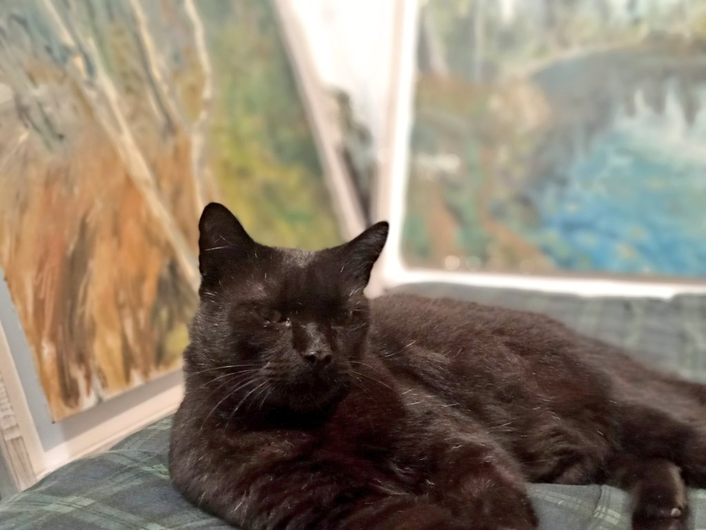 Bernardo González tweet media