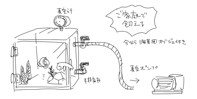 ご家庭でも手軽に飼えます
※長期のお出かけの際は排気バルブを開けて大気状態にしてください 