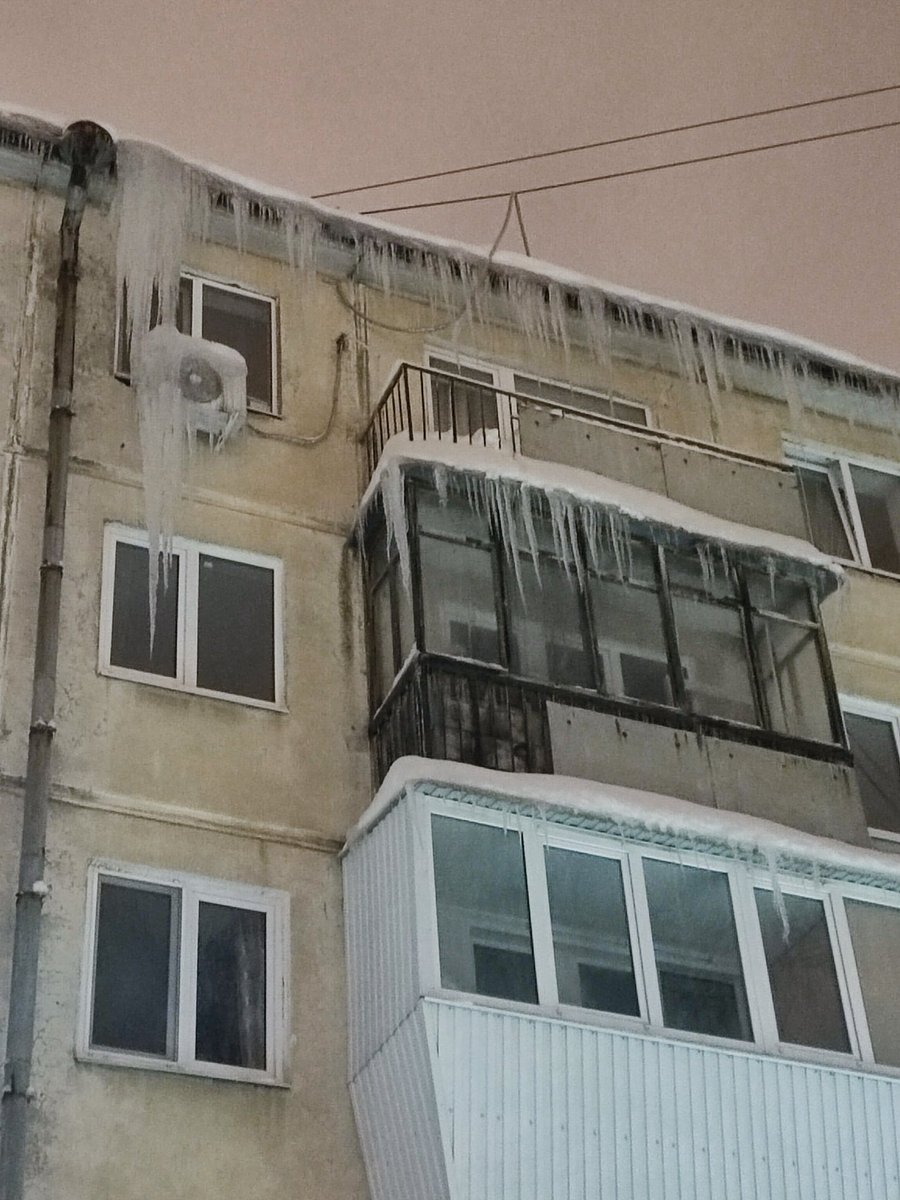 Daria Yakovleva tweet media