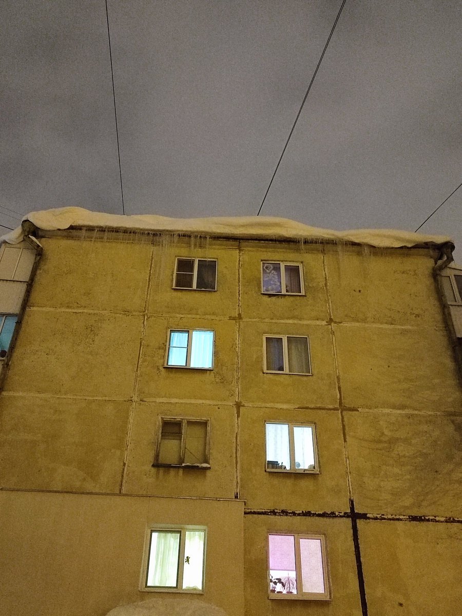 Daria Yakovleva tweet media