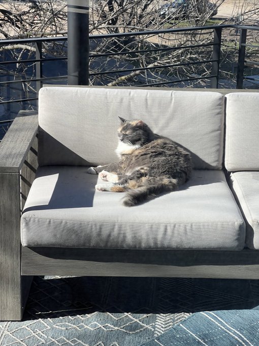 Josh Knowles (Parody)’s pics and videos