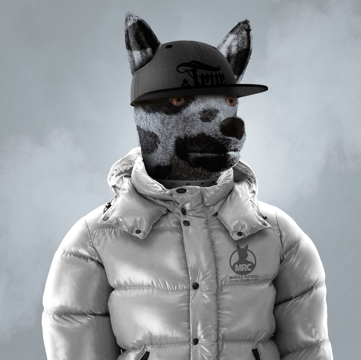 MRClubs's tweet photo. The first 77 people get a guarantee WL spot for Muscle Russell Club.
Come on Russell's, Catch WL Spots!
Join to our discord:
https://t.co/t9VKjmR4HR

#NFT #NFTCommunity #NFTGiveaways #nftcollector 
#NFTdrop #nftart https://t.co/IvfKf7ijut