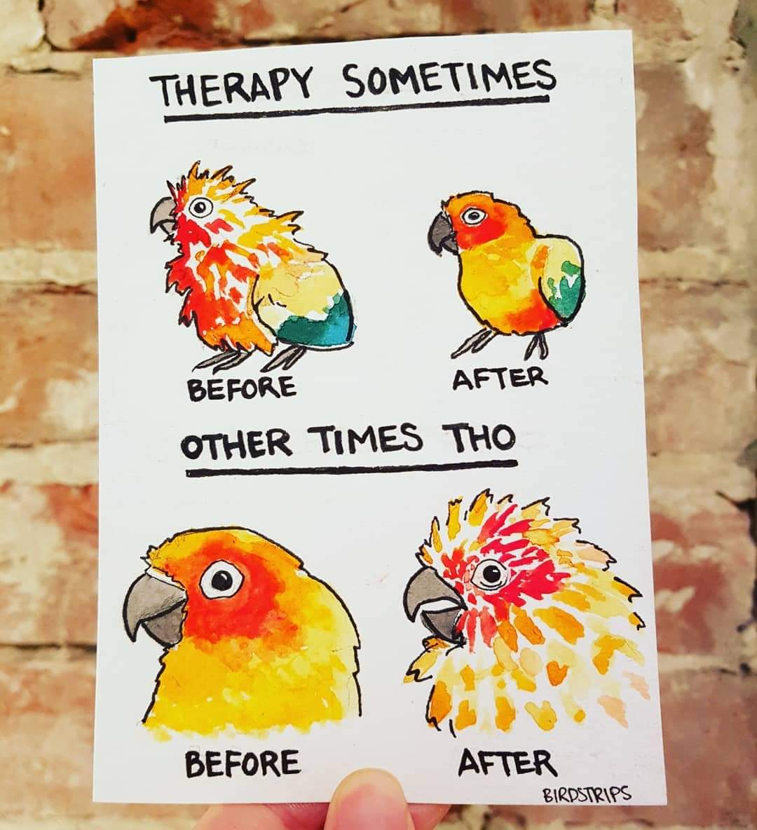 DrMarinaHarris's tweet photo. Accurate #TherapistTwitter
📸 Birdstrips https://t.co/021VVl3I3u
