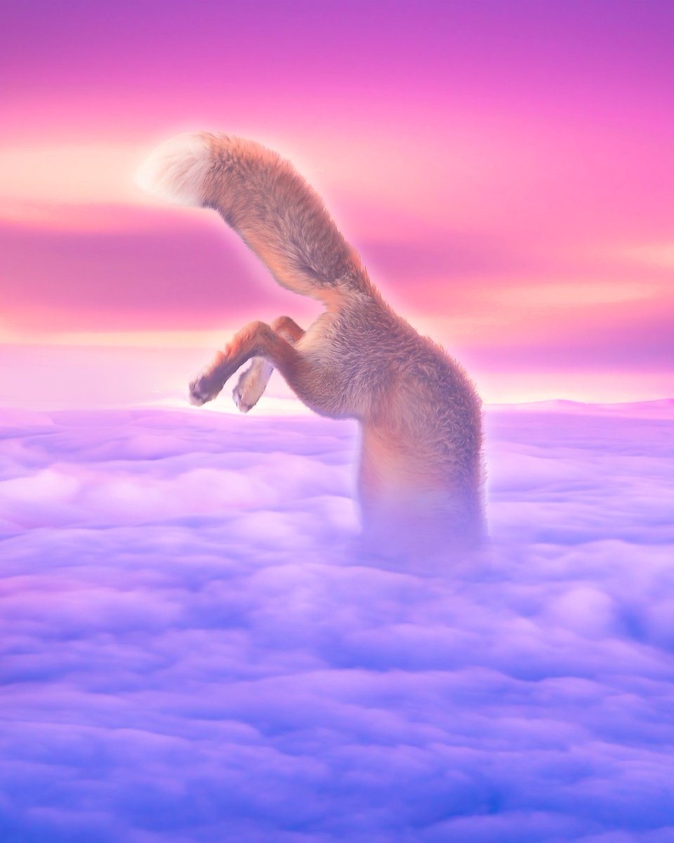 Cyb3rDragon's tweet image. 🔥NEW DROP🔥

🦊Fox Hunting in the clouds of Dreamland. He is the best hunter in Dreamland, with his unique silent, fast attack!

☑ @opensea 
☑ 1/1 Edition
☑ 0,2 ETH
☑ VIP*

🔗Link: opensea.io/assets/0x495f9…
#NFTdrop #NFT #NFTCollection #NFTs #NFTartist #photographynft