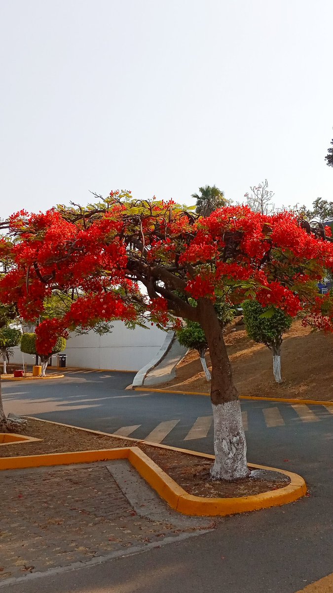 Buen día para todos desde #Cuernavaca #Morelos.