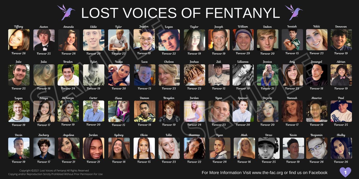 c0lettea's tweet photo. I've spent months cataloguing more than 1,000 victim photos from bereaved families of their loved ones poisoned by illicit fentanyl. Here is our first new banner, just one of many to come.
Please pray for our families and help us STOP IT!
Sorrow is love with nowhere to go... https://t.co/U6Z1gRdNQZ