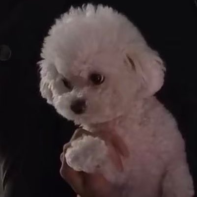 baby𝕎𝕠𝕠 🐾 tweet media