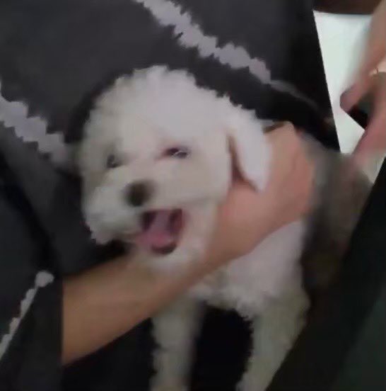 baby𝕎𝕠𝕠 🐾 tweet media