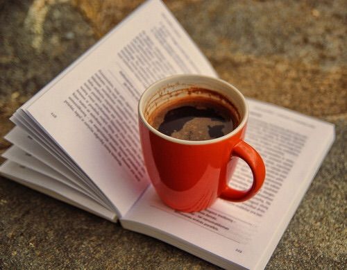 Вкус итальянской осени книга. Кофе тайны и туманы. Книга "чай". Кофе тайны и туманы. Кофе тайны и туманы.