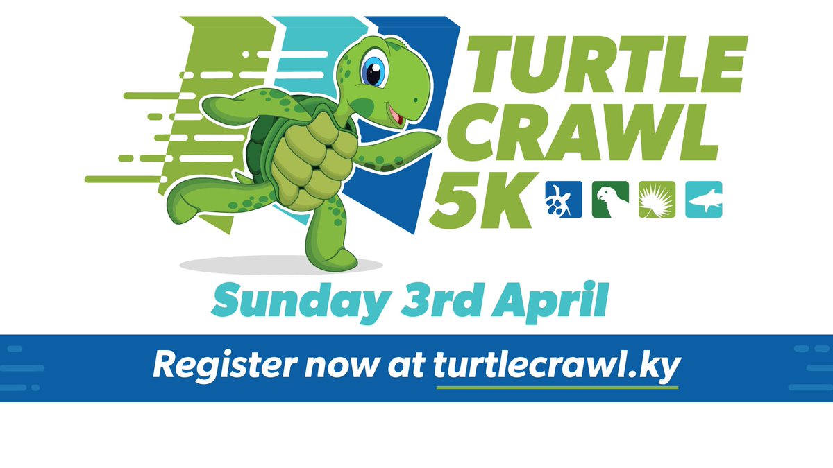 CaymanTurtle's tweet image. The countdown is on to our 2nd annual Turtle Crawl 5K Walk/Run on Sunday 3 April!

All funds raised will support the conservation of Green sea turtles in the Cayman Islands 🐢

Register now at turtlecrawl.ky

#CaymanIslands #TurtleCrawl #Conservation #GreenSeaTurtles