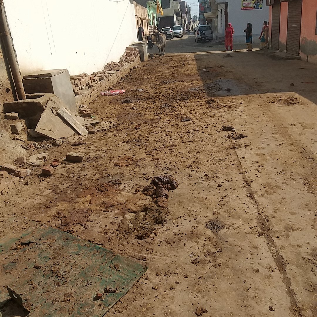Devende26549609's tweet photo. @cmohry Hamare payare cm saheb hisar tibba danasher  par yes new bharat senior secondary school  ke pass baccho ka school aane Jane me badi samsya hai  sir or aas pass jo gher  hai vha ham log bahut  paresani me h safai karmchari  1 hafte  bad aate h badbu  marti h ji https://t.co/76P5gdQIkU