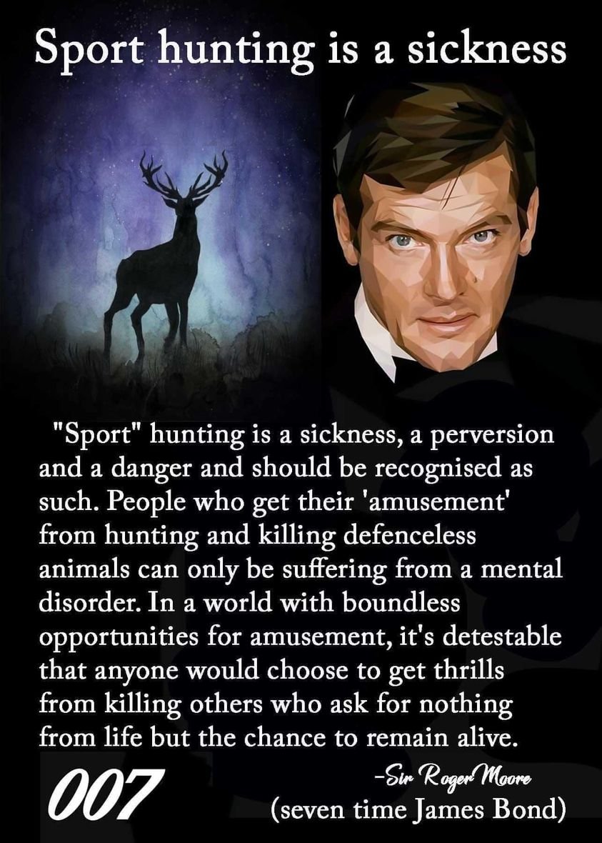 Mary Zientek Sulaiman (@zientekmary) on Twitter photo 