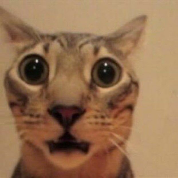 [ Crack mood comes and goes.
Hello, my name is Bapho.
I wanna do serious RP and chill and also violence.

Find me here or at <a href="/EVlLlNCARNATE/">‍ ‍ ‍ ‍🜲 ╱【𝐍𝐄𝐂𝐑𝐎𝐏𝐇𝐀𝐃𝐄𝐒】⠄</a> / @IDEALISTlC