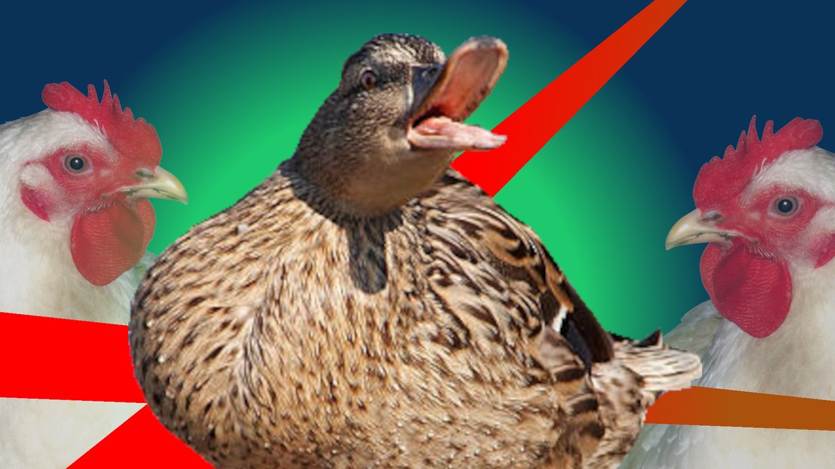 MinutesRouges's tweet photo. TROTSKY, LES CANARDS REVOLUTIONNAIRES ET LES POULES CENTRISTES - Minutes Rouges ep 43 https://t.co/4KgrVdsCXc https://t.co/3K8QET1B3V