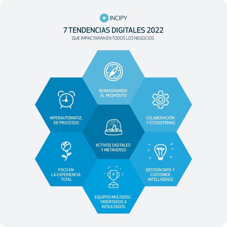 joana sanchez tweet media