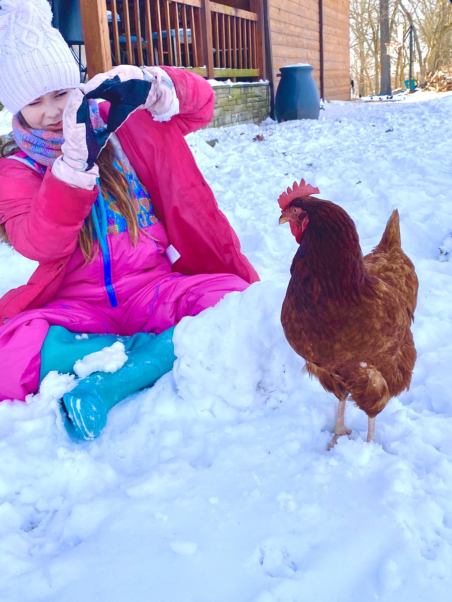 TheWildThingsRN's tweet photo. Started off a a girl, her hen, and a big pile of snow, but her vision came through in the end. #trusttheprocess #HenSolo #arwx
π¦see previous for SnowUnicorn duo https://t.co/TTJUpJfRJf
