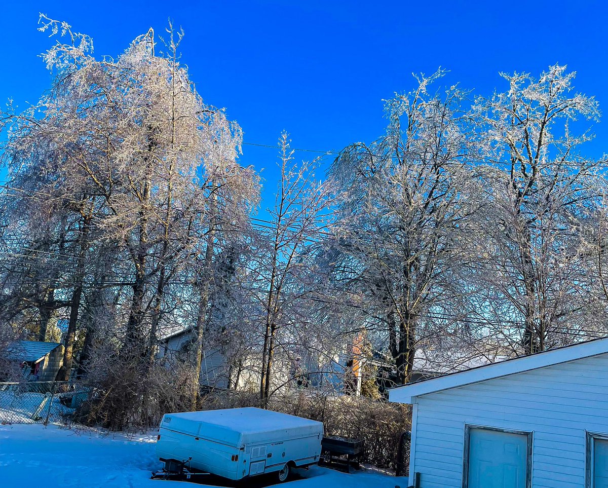 Woke up to the sun-shining and the trees beautiful. The only benefit to an ice storm is the beauty.