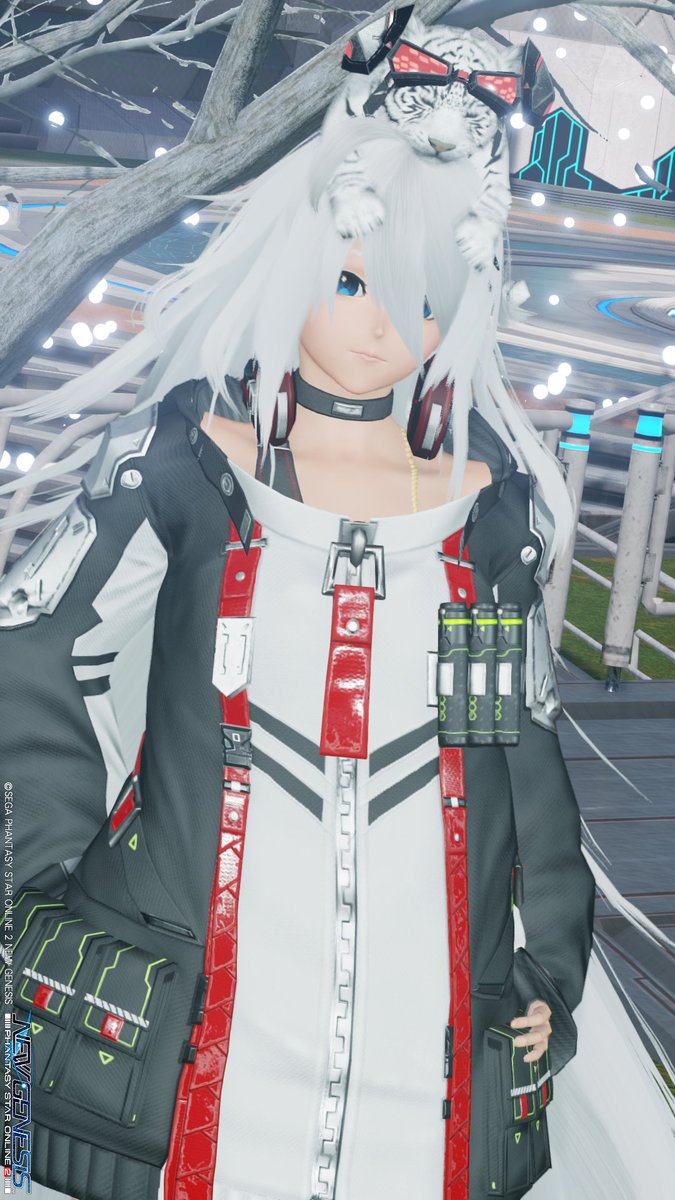 Amethyst@PSO2_2️⃣76🌸 (@chihiro_pso2ngs) | Twitter