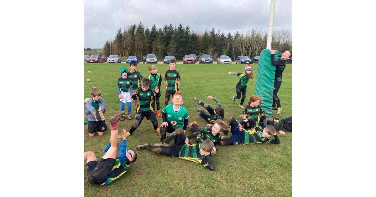 Mallow RFC tweet media