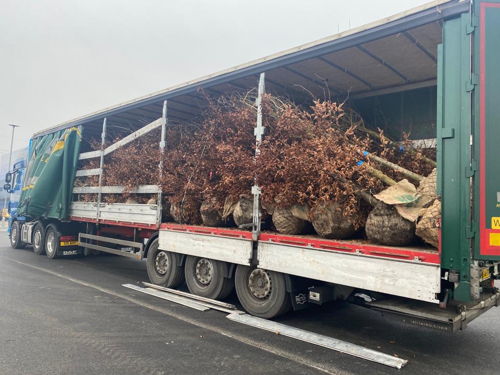 Kings Landscapes tweet media