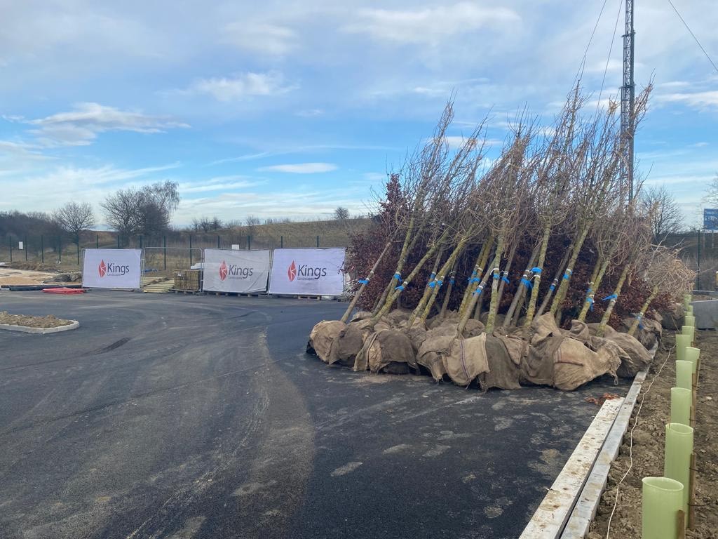 Kings Landscapes tweet media