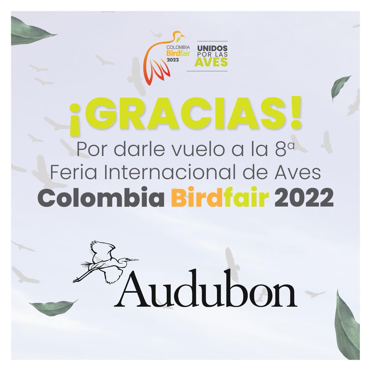 ColombiaBF's tweet photo. #ColombiaBirdfair2022 #UnidosPorLasAves agradece a @AudubonAmericas por acompañarnos nuevamente en la realización de la Feria Internacional de Aves de Colombia. Gracias por apoyar la conservación de las #aves en #Colombia 🇨🇴, el país de las aves. #Conservacion #Birdfair https://t.co/EzneigjCJI