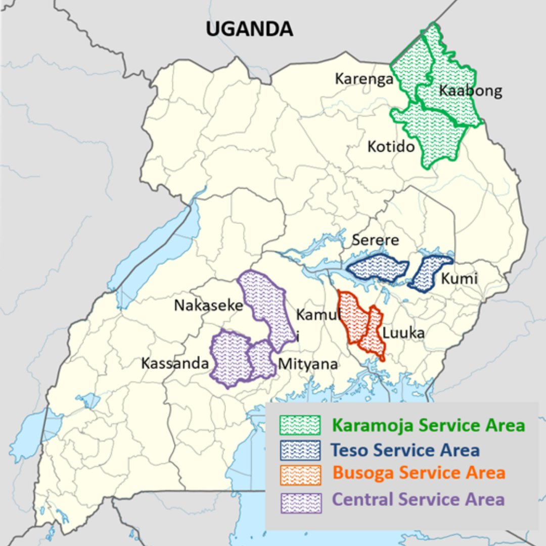 Whave Solutions tweet media