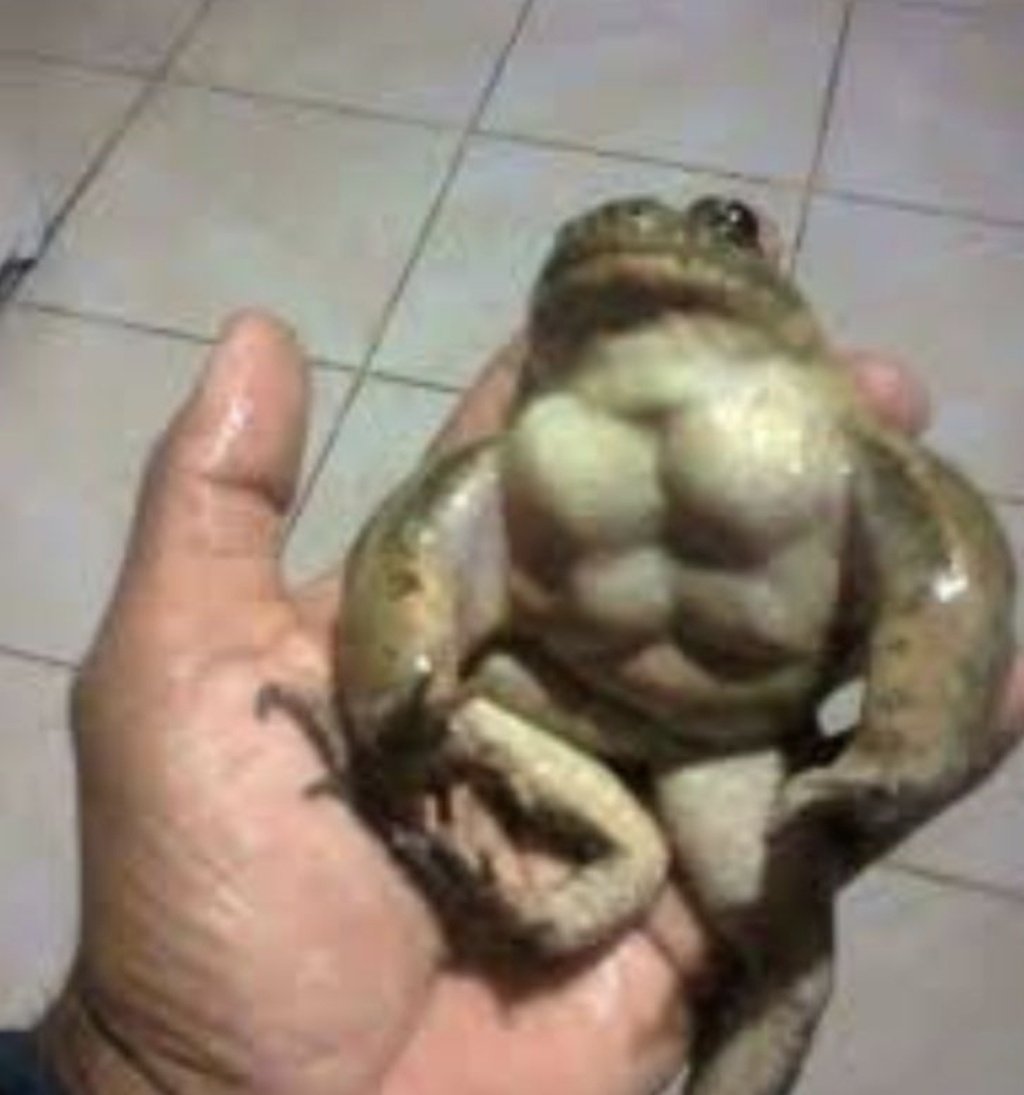 Ggs
It's not possible to lose with these three @vMaxzzy @PlutoOttoo @ohscara