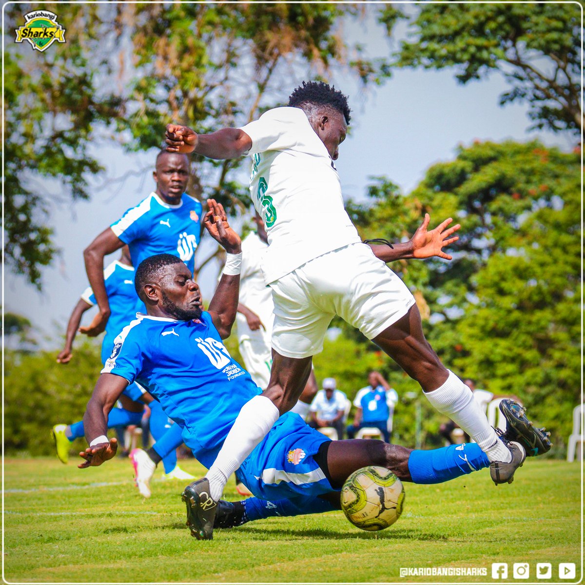 k_sharksfc's tweet photo. https://t.co/yOUM1VXmzq